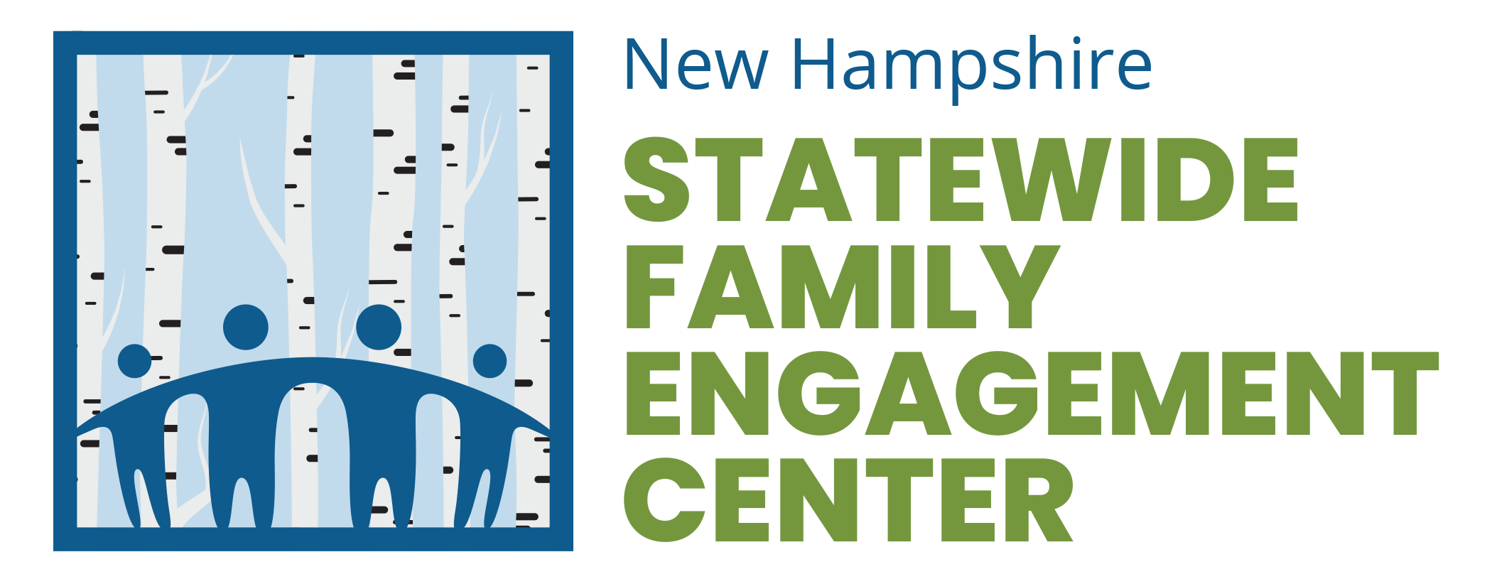 New Hampshire SFEC